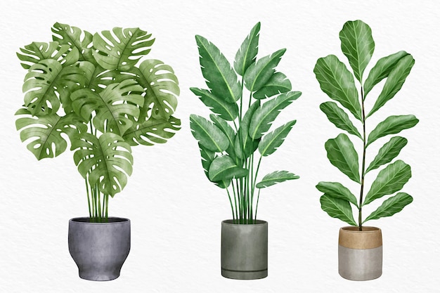 Vetor grátis coleção de plantas de casa pintadas à mão em aquarela