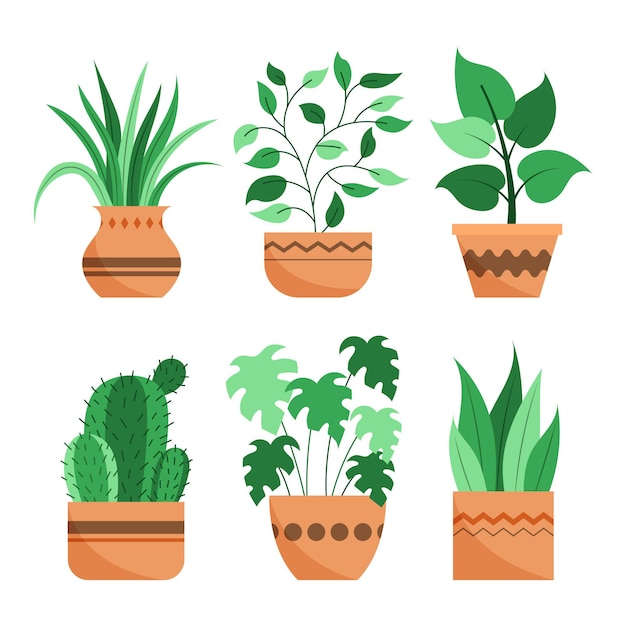 Coleção de plantas de casa planas orgânicas