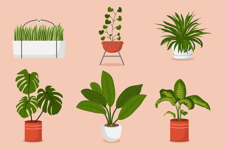 Vetor grátis coleção de plantas de casa planas orgânicas