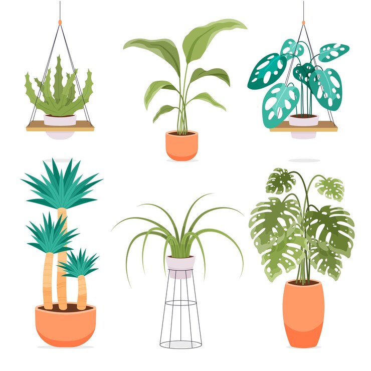 Vetor grátis coleção de plantas de casa planas orgânicas