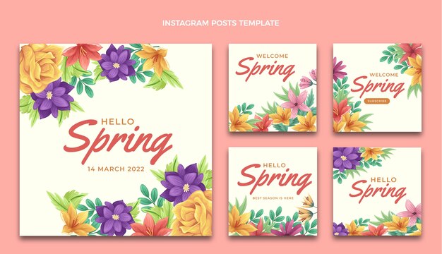 Coleção de postagens do instagram de primavera plana