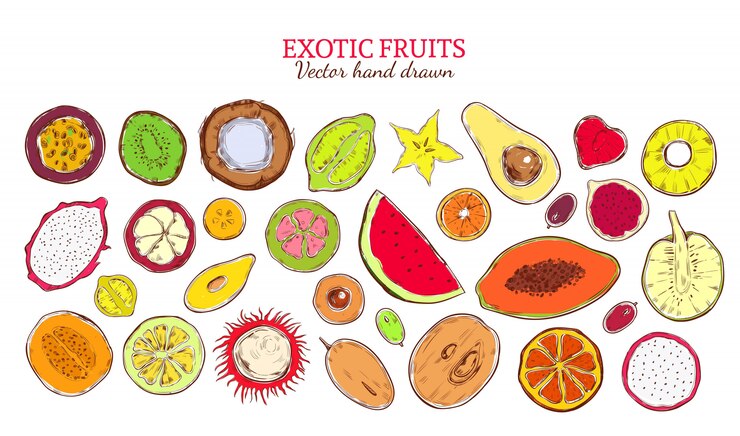 Vetor grátis coleção de produtos exóticos naturais de esboço colorido