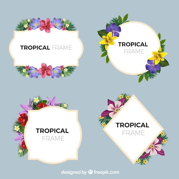 Coleção de quadros elegantes com flores tropicais