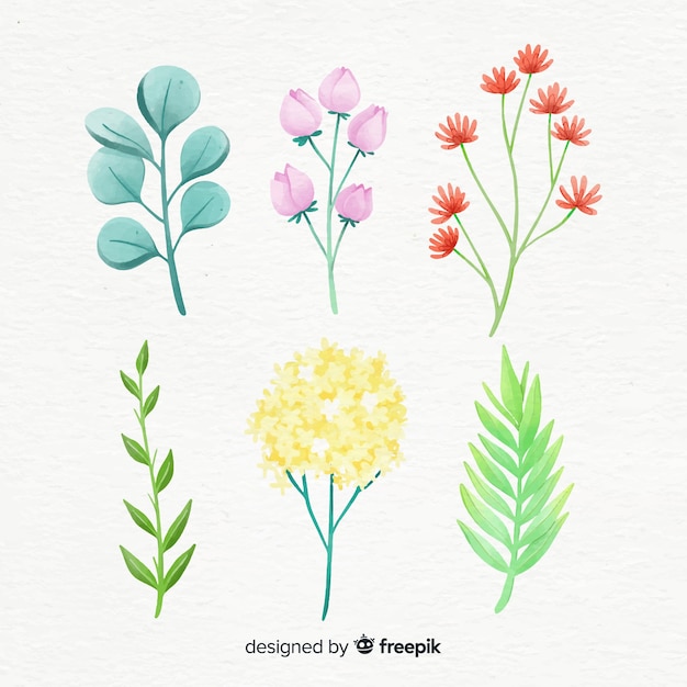 Coleção de ramo floral em estilo aquarela