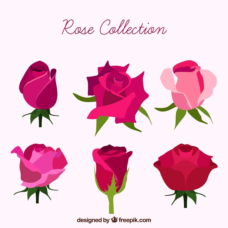 Vetor grátis coleção de rosas bonitas