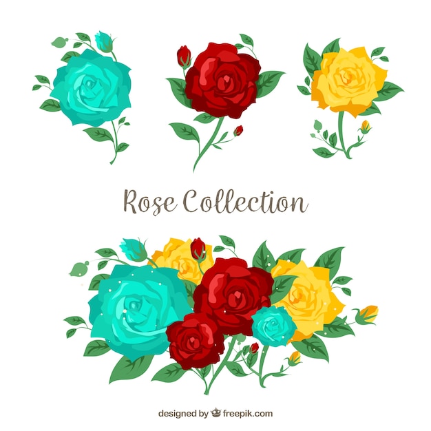 Coleção de rosas com três cores