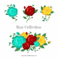 Vetor grátis coleção de rosas com três cores