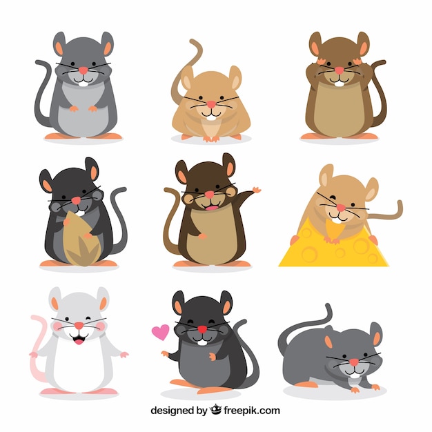 Coleção de sete conjuntos de ratos desenhados a mão