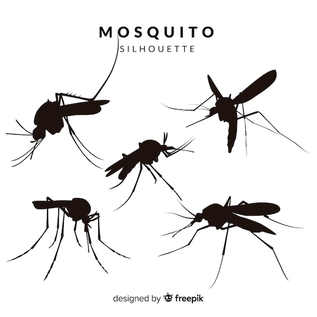 Coleção de silhueta de mosquito