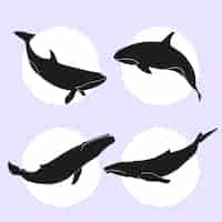 Vetor grátis coleção de silhuetas de baleia plana