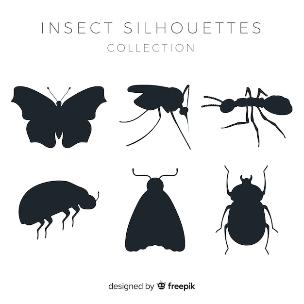 Coleção de silhuetas de insetos plana