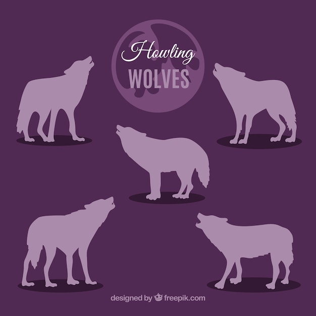 Coleção de silhuetas de lobos uivantes roxos