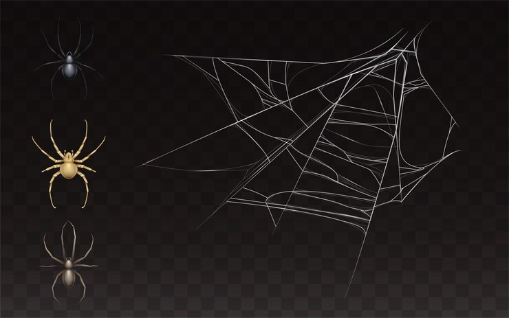Vetor grátis coleção de teia de aranha realista e aranha. web com inseto isolado em fundo escuro.