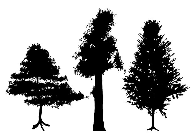 Coleção de três silhuetas de árvores detalhadas
