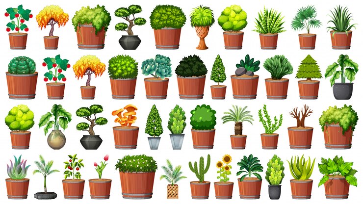 Vetor grátis coleção de vasos de plantas em branco