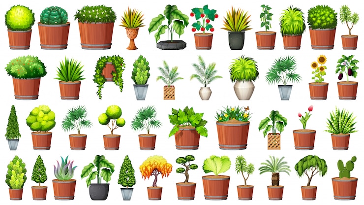 Vetor grátis coleção de vasos de plantas em branco