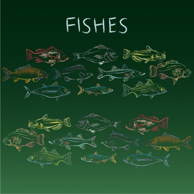 Vetor grátis coleção desenhados mão peixes
