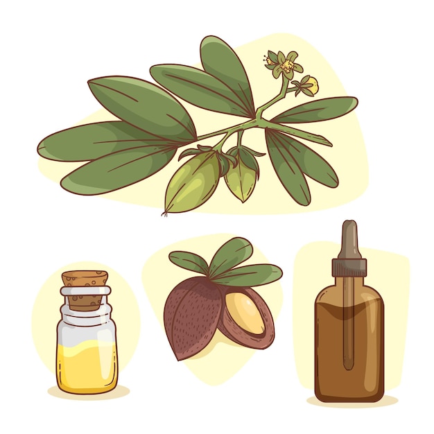 Coleção detalhada de elementos de jojoba