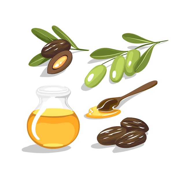 Vetor grátis coleção detalhada de elementos de jojoba