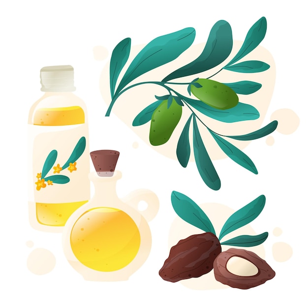 Vetor grátis coleção detalhada de elementos de jojoba