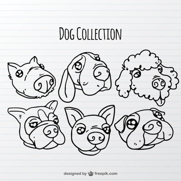 Vetor grátis coleção do cão desenhado mão