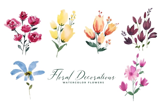 Coleção floral de flores decorativas em aquarela