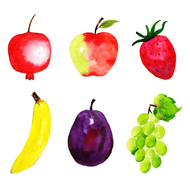 Coleção Frutas Aquarela