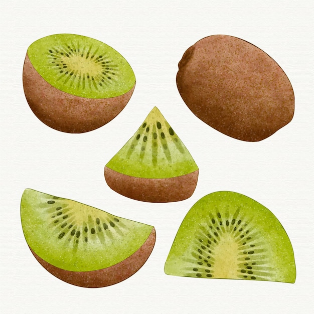 Vetor grátis coleção kiwi