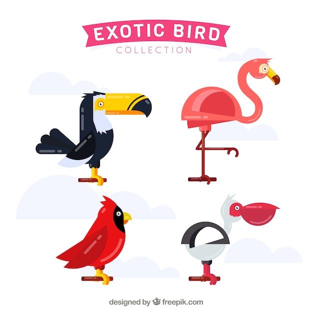 Vetor grátis coleção plana de pássaros exóticos