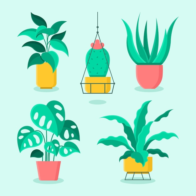 Coleção plana de plantas de casa