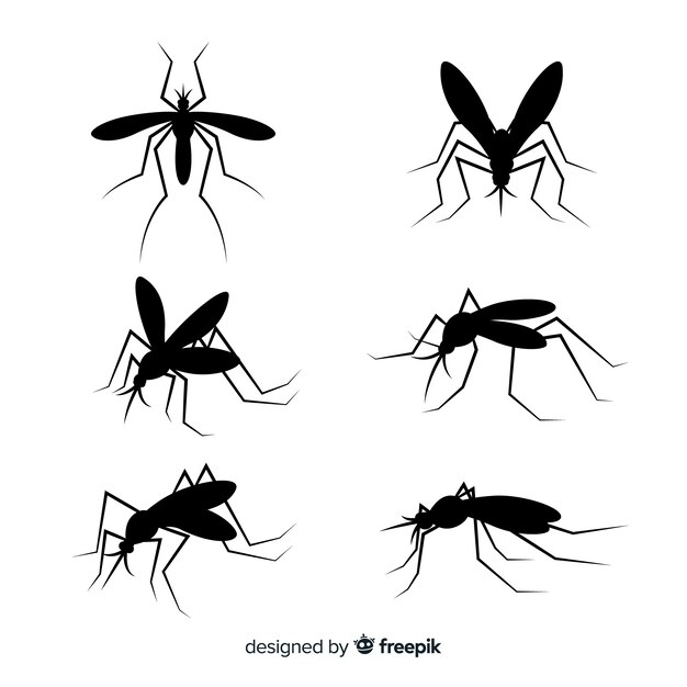 Coleção plana de silhuetas de mosquito