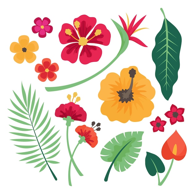 Coleção tropical de flores e folhas