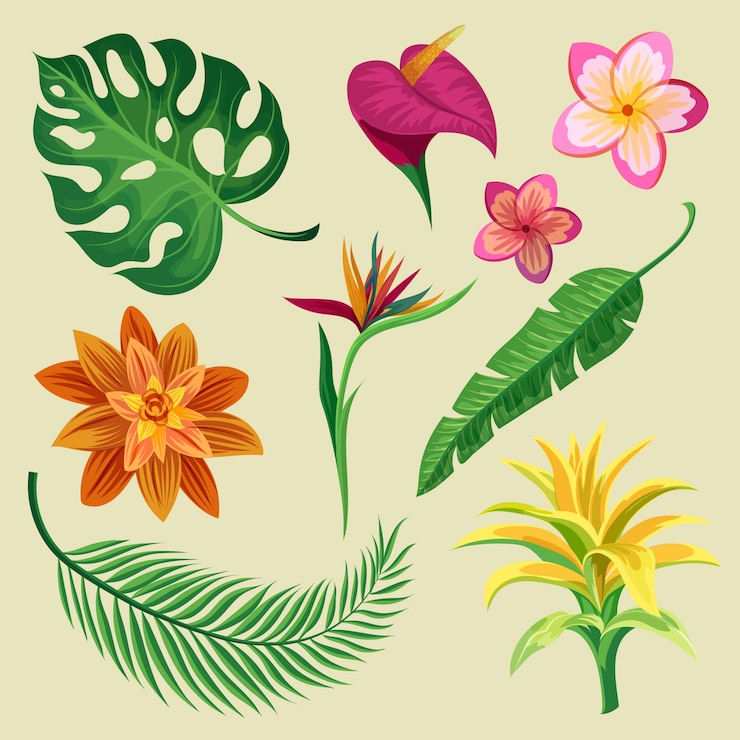 Vetor grátis coleção tropical de flores e folhas
