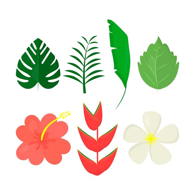 Coleção tropical de flores e folhas
