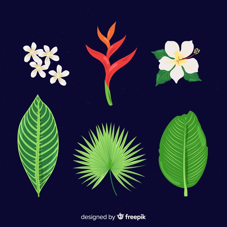 Vetor grátis coleção tropical de flores e folhas