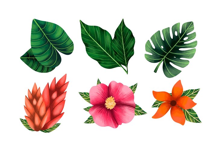 Vetor grátis coleção tropical de flores e folhas