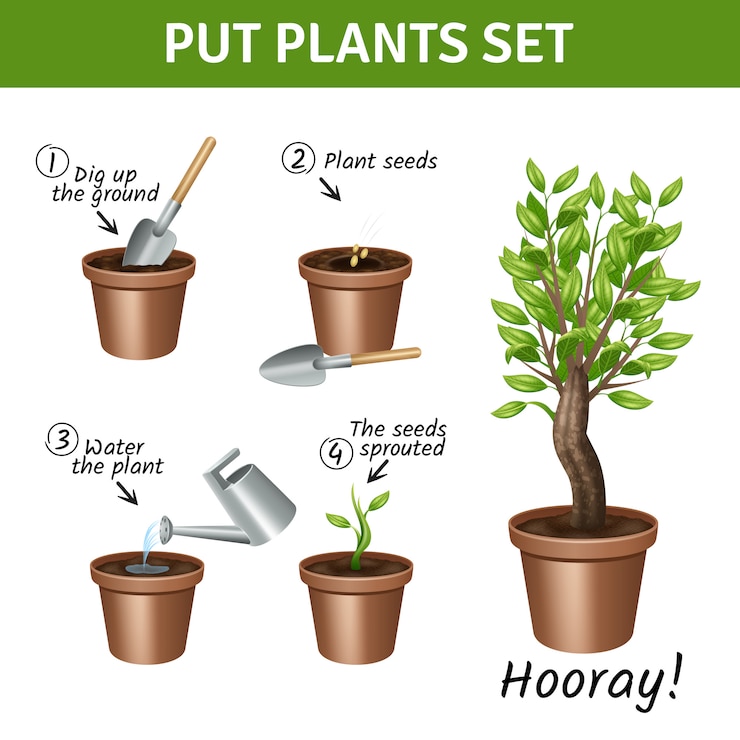 Vetor grátis colocar e crescer a instrução de plantas com conjunto de ícones realistas de água e sementes de potes