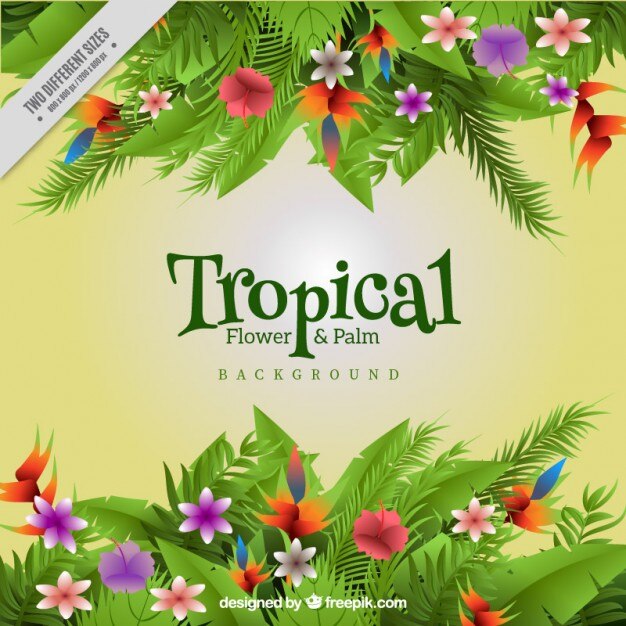 Vetor grátis coloridas flores tropicais e as folhas de fundo