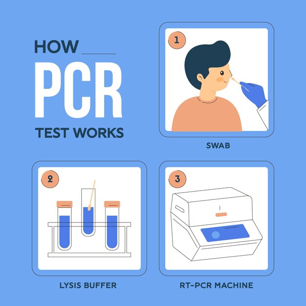 Como funciona o teste de PCR