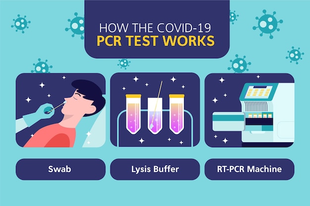 Vetor grátis como o teste de pcr funciona infográfico