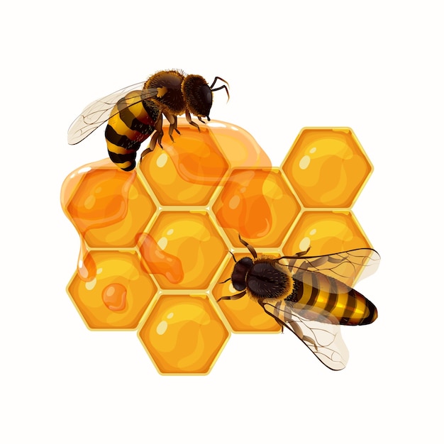 Composição abstrata realista de mel com abelhas sentadas em ilustração vetorial de favos de mel âmbar