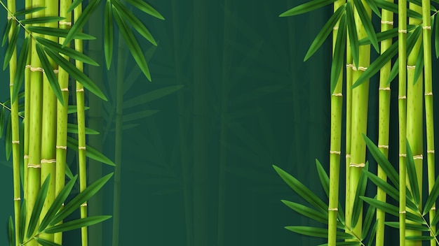 Composição de bambu de selva tropical de ramos com fundo de floresta tropical escurecido cercado por imagens de plantas exóticas deixa ilustração vetorial
