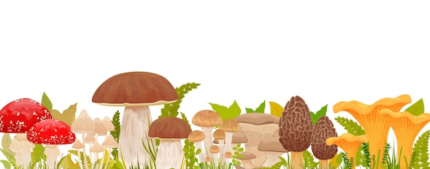 Composição de cogumelos com conjunto plano de vários cogumelos comestíveis e venenosos entre várias folhas e ilustração vetorial de grama
