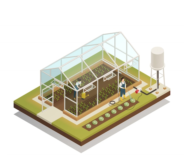 Vetor grátis composição isométrica de irrigação de instalações de estufa