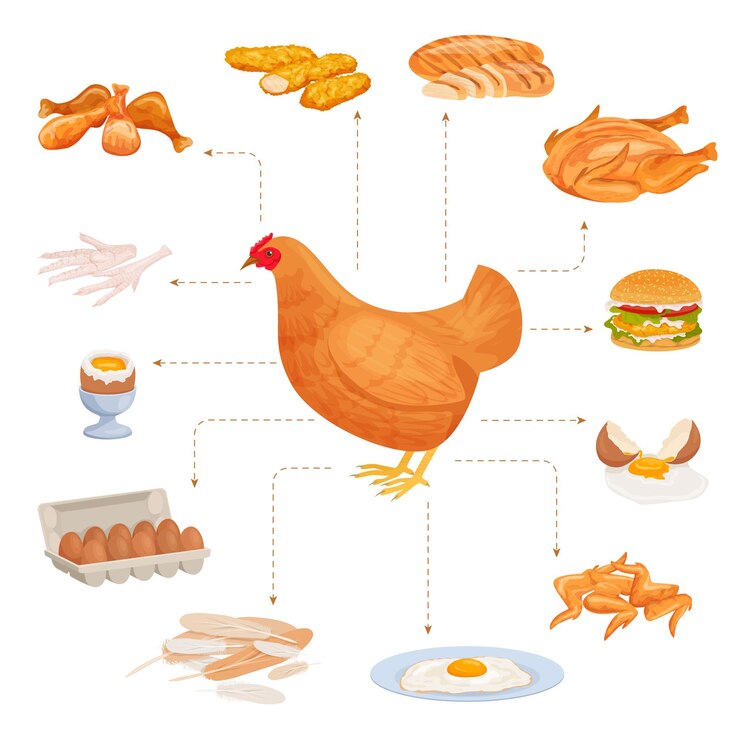 Vetor grátis composição plana de produtos de frango com conjunto de comida de aves isoladas apontando para a imagem da ilustração vetorial de galinha de fazenda