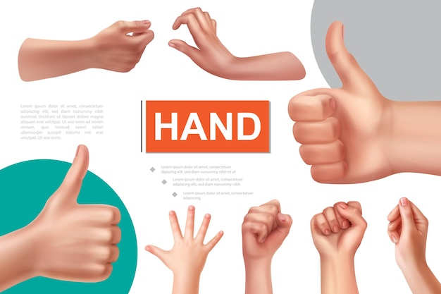 Composição realista de gestos com as mãos com punhos femininos bem sinal pegando e segurando algo nas mãos