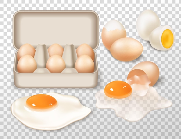 Vetor grátis composição realista de ovos de fazenda consistindo em ovos cozidos e crus fritos em ilustração vetorial de fundo transparente