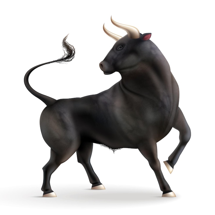 Vetor grátis composição realista de touro com imagem isolada de vista lateral de animal com chifres com sombra na ilustração vetorial de fundo em branco