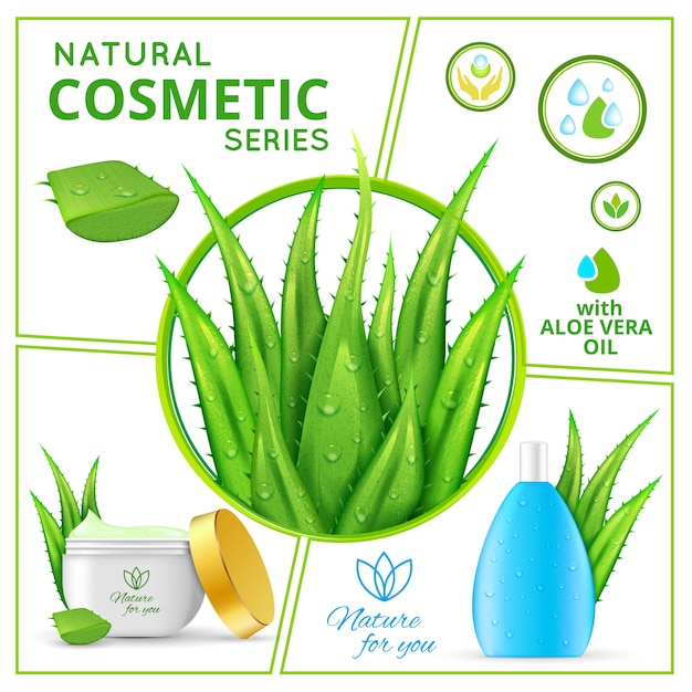 Vetor grátis composição realista natural de produtos cosméticos com plantas de aloe vera e pacotes de creme para a pele saudável e líquido para o rosto