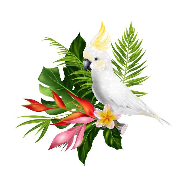 Composição tropical realista de papagaio com pássaro branco e flores exóticas com folhas isoladas em ilustração vetorial de fundo em branco